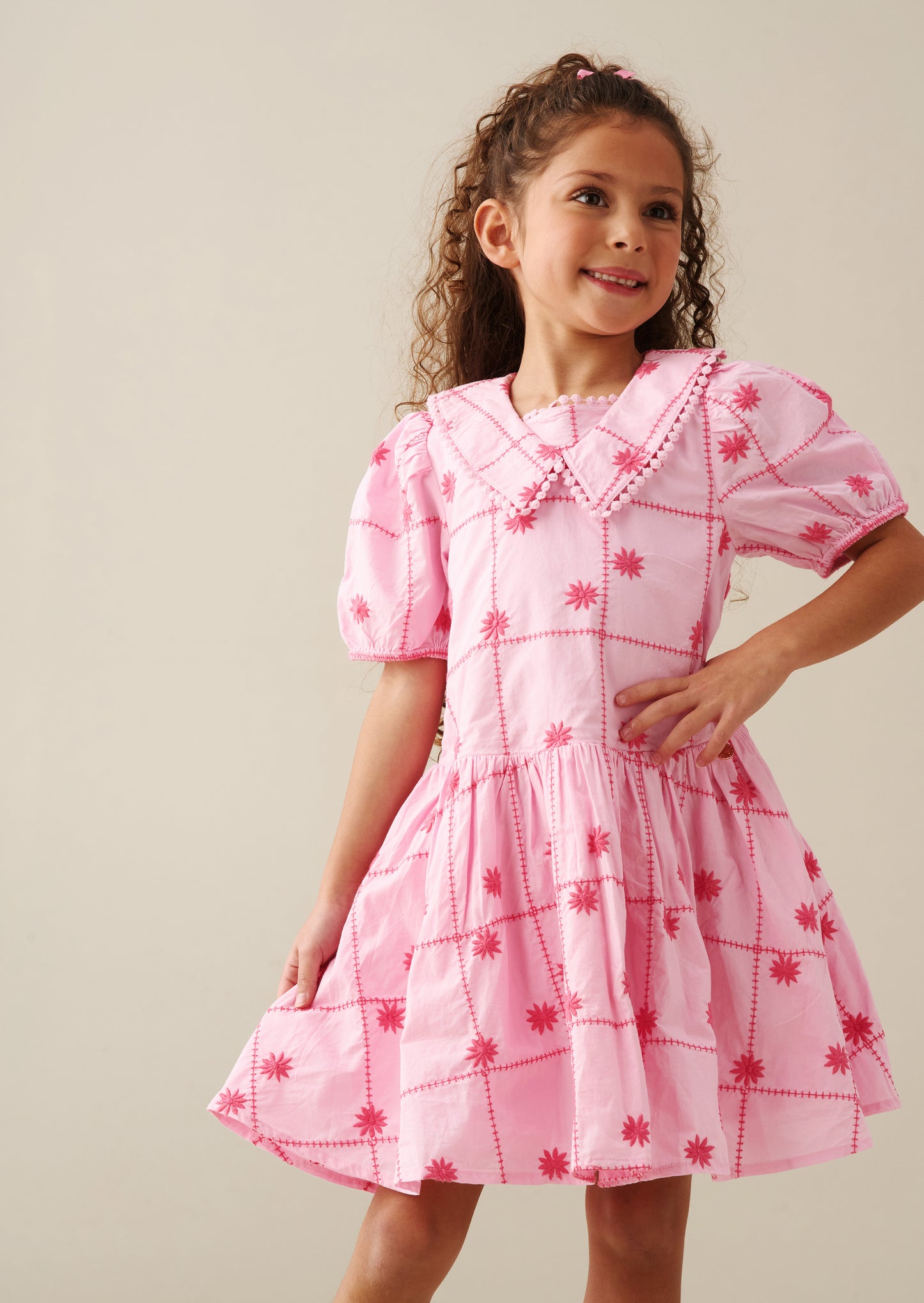 Louise Embroidered Dress