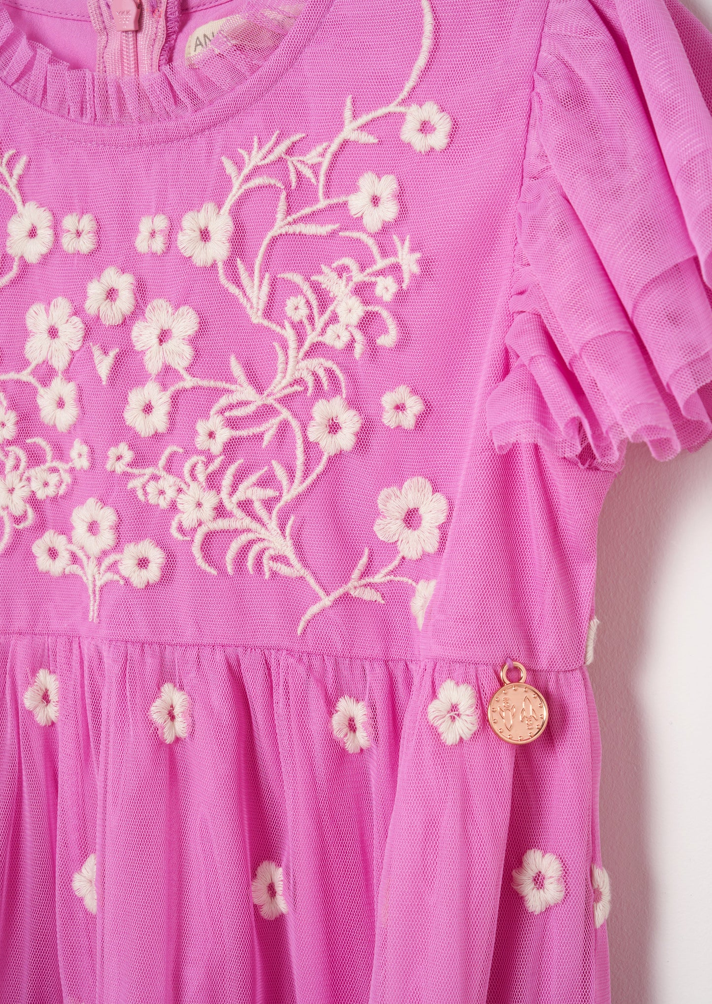 Luisa Embroidered Mesh Dress