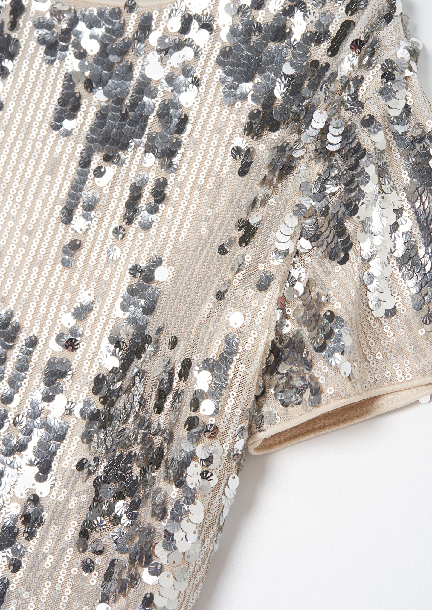 Sadie Silver Sequin Top