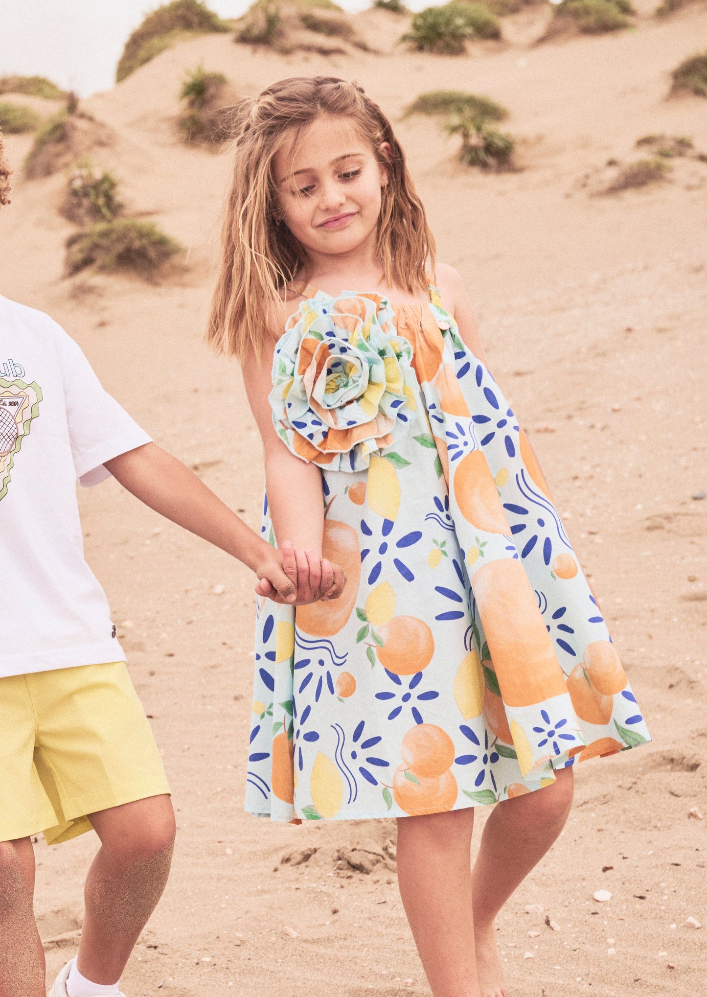 Carrie Multi Print Swing Corsage Dress