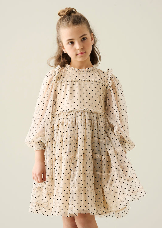 Anya Embroidered Mesh Dress