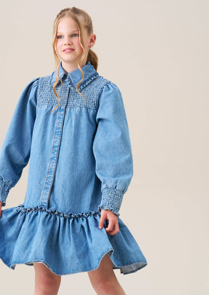 Harper Shirred Denim Shirt Dress