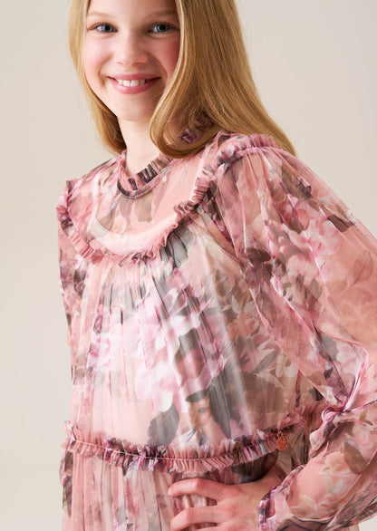 Eleanor Rose Floral Mesh Dress