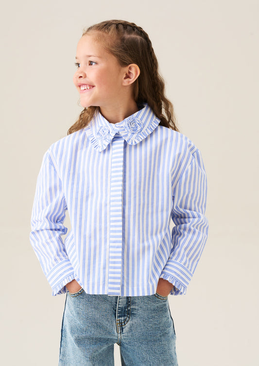 Iris Stripe Corsage Collar Shirt