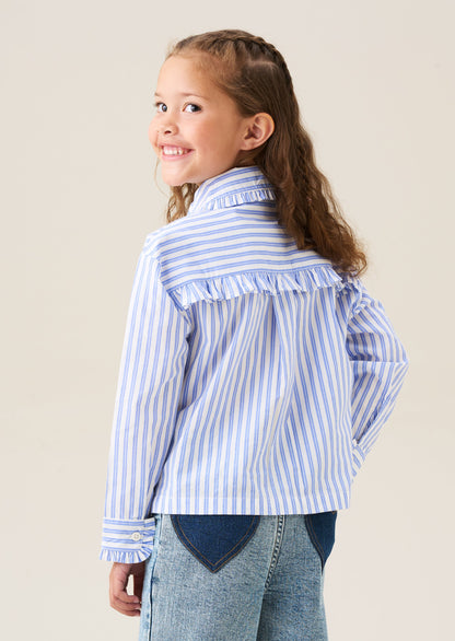 Iris Stripe Corsage Collar Shirt