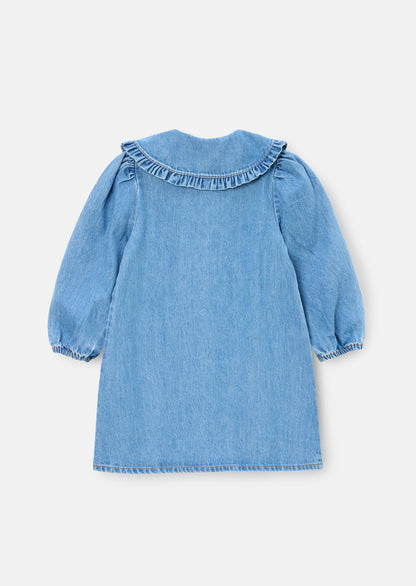 Aria Denim Embroidered Collar Dress