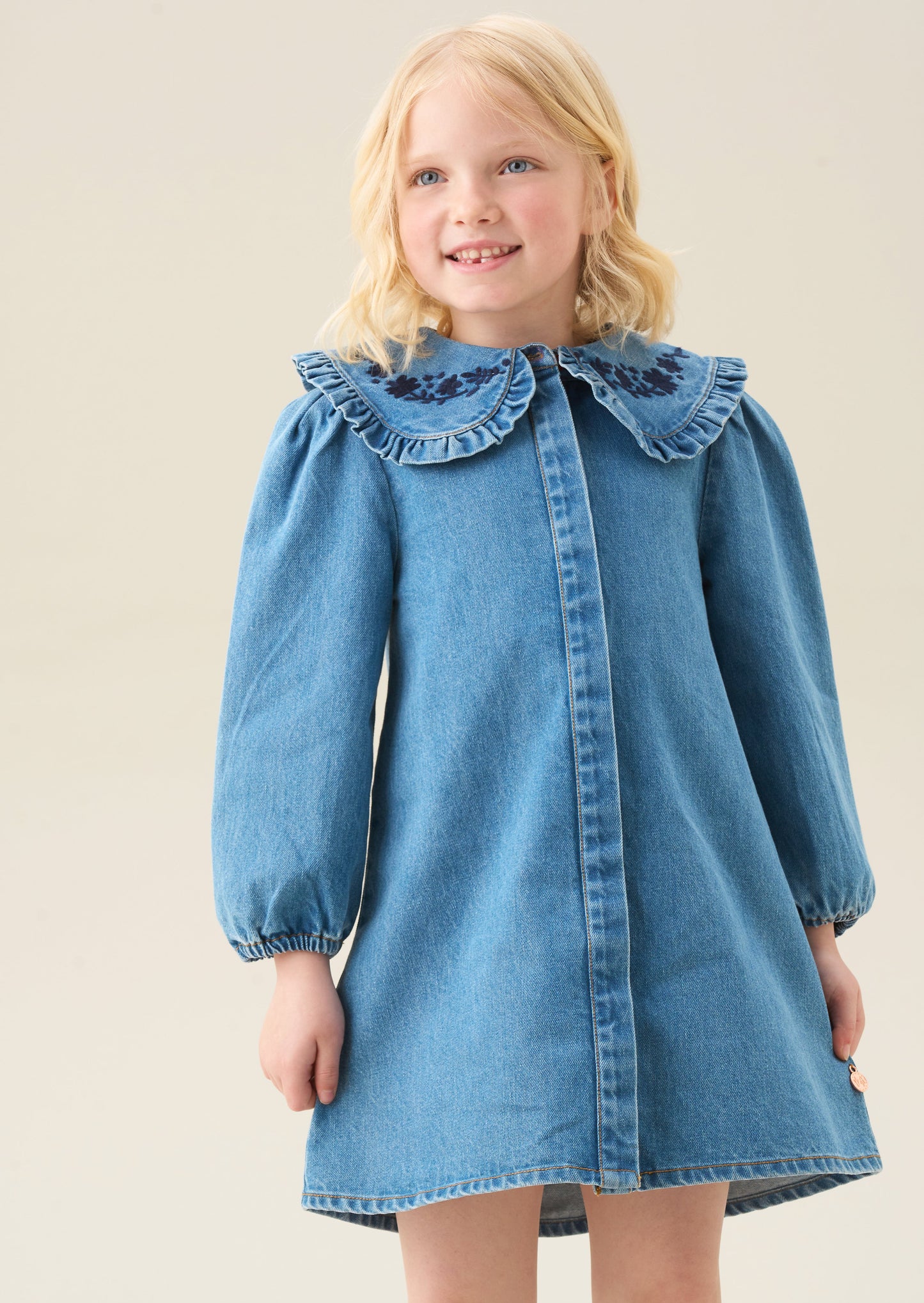 Aria Denim Embroidered Collar Dress