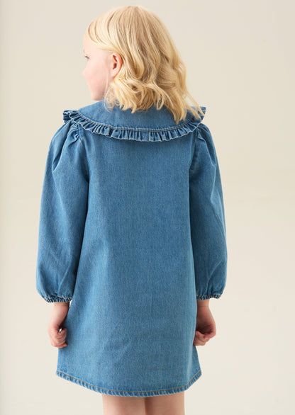 Aria Denim Embroidered Collar Dress