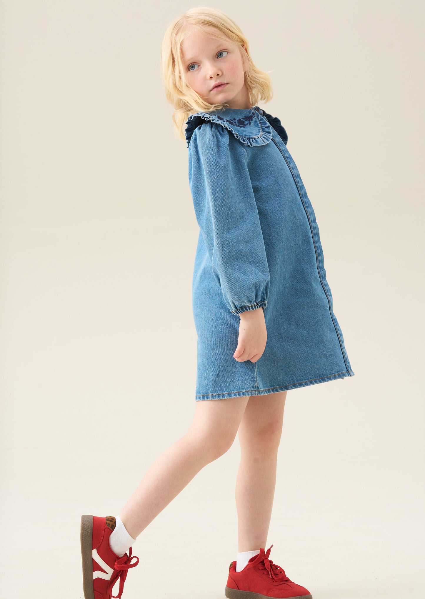 Aria Denim Embroidered Collar Dress