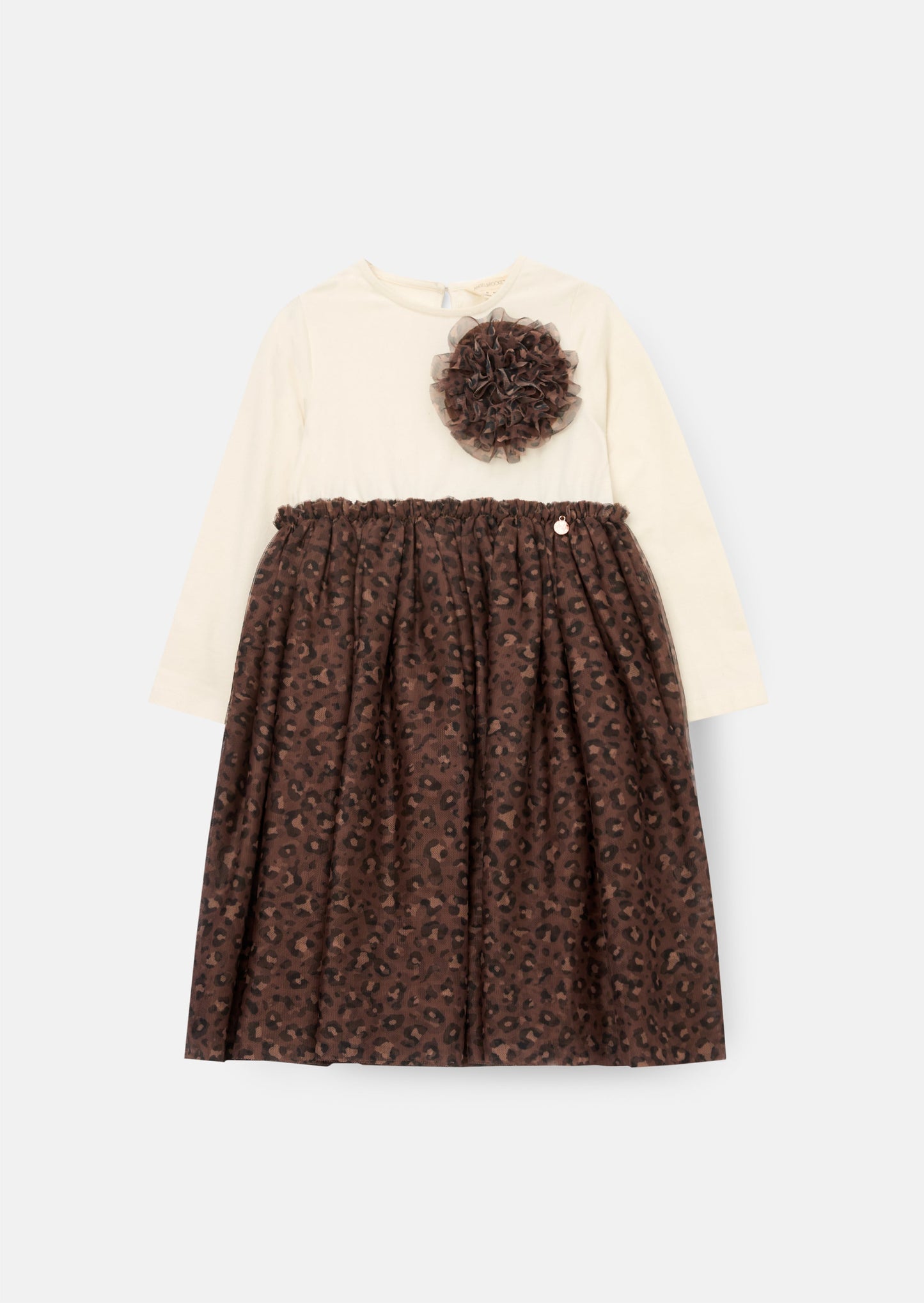 Carrie Corsage Mesh Dress