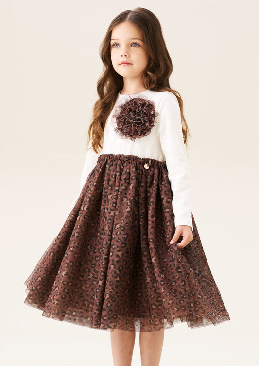 Carrie Corsage Mesh Dress