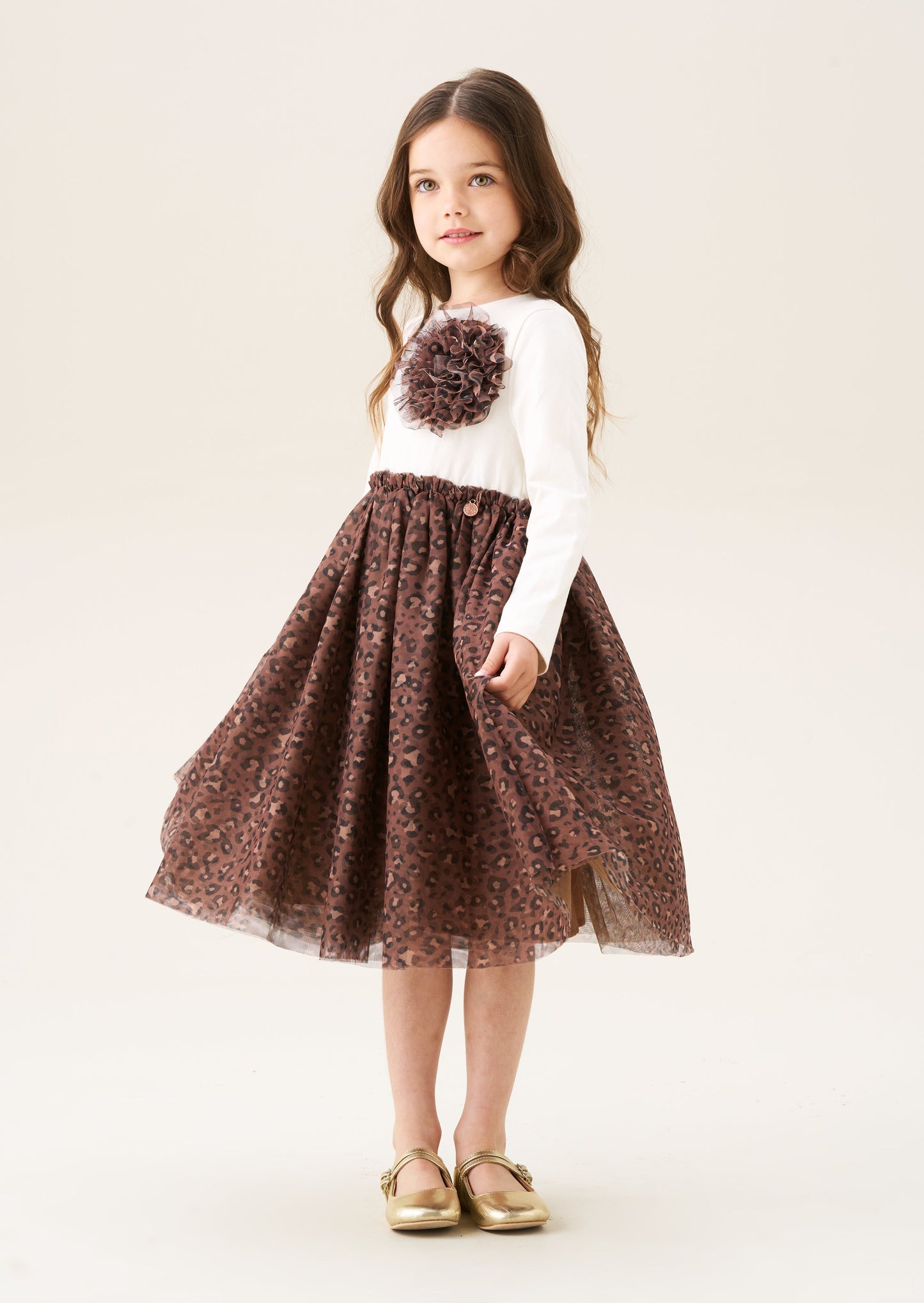 Carrie Corsage Mesh Dress