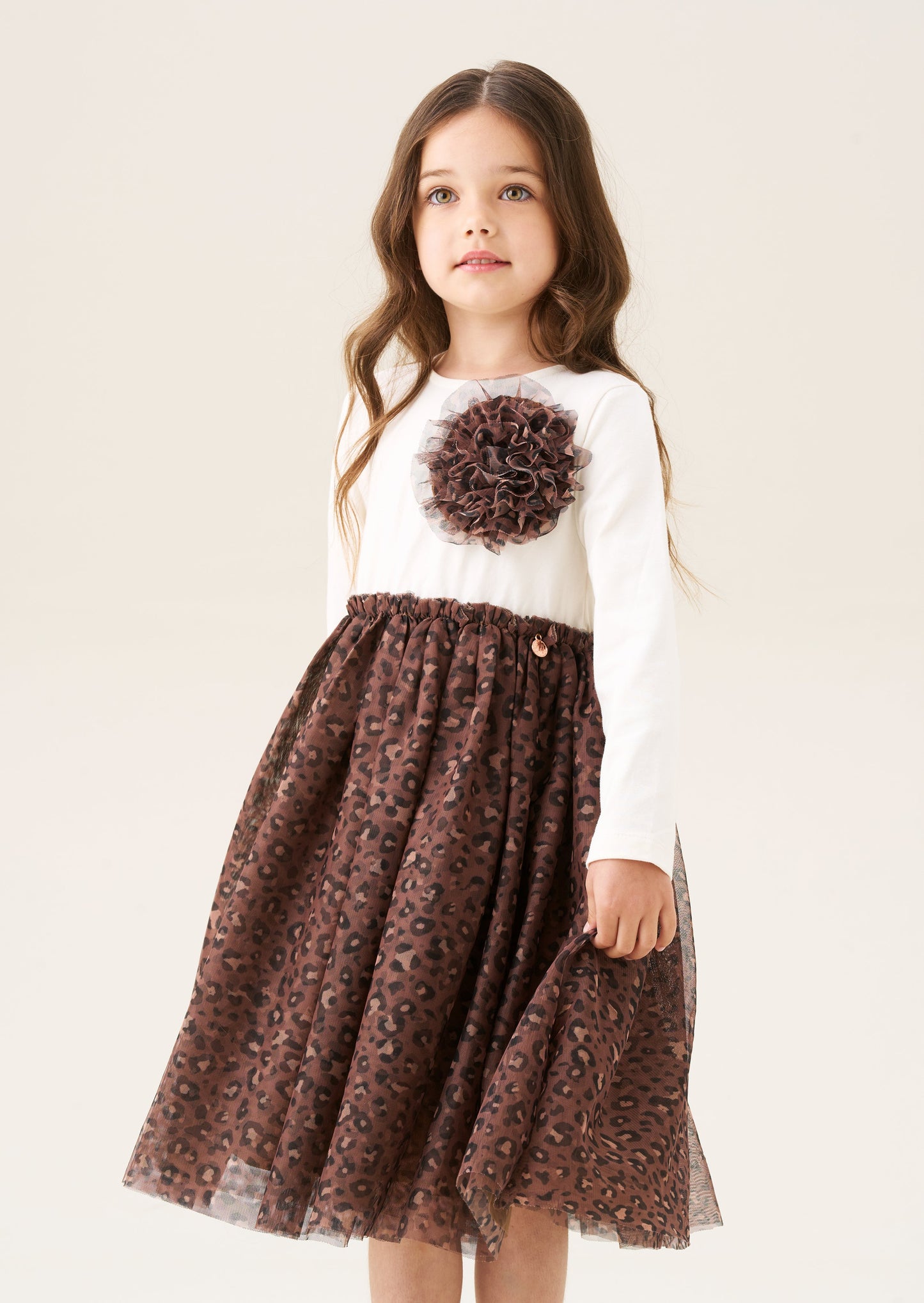 Carrie Corsage Mesh Dress