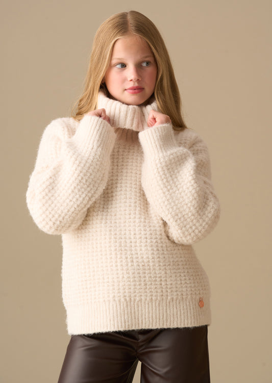 Maddie Chunky Rollneck Jumper
