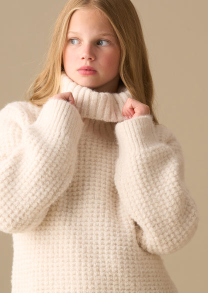Maddie Chunky Rollneck Jumper
