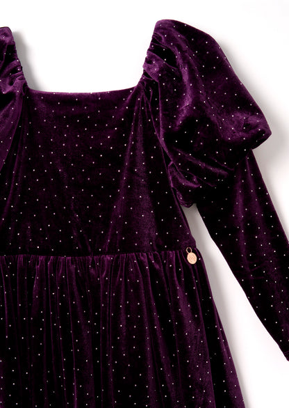 Violet Velvet Dress