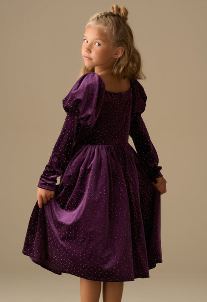 Violet Velvet Dress