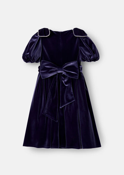 Bella Velvet Dress