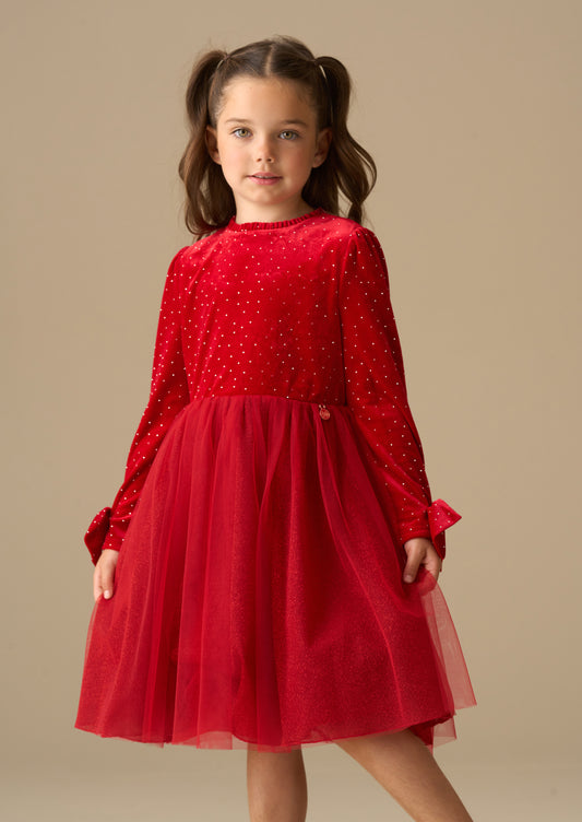 Elsie Velvet Tulle Dress