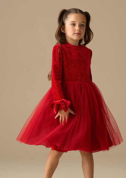 Elsie Velvet Tulle Dress