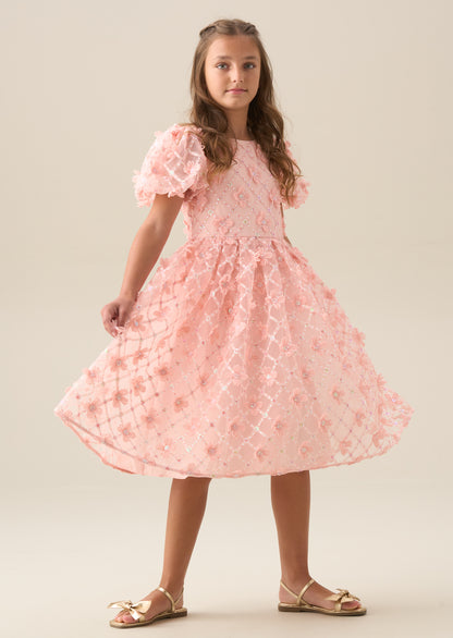 Francine Pink Embellished Puff Sleeve Dress