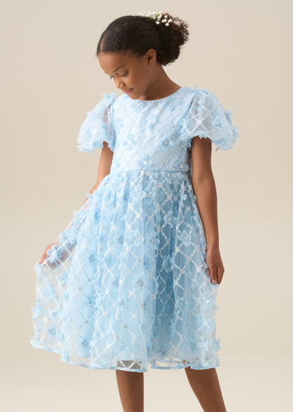 Francine Blue Embellished Puff Sleeve Dress