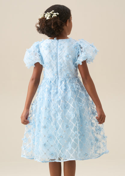 Francine Blue Embellished Puff Sleeve Dress