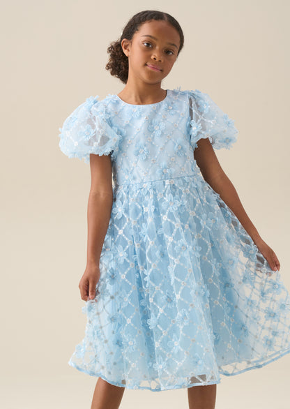 Francine Blue Embellished Puff Sleeve Dress