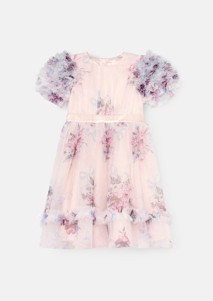 Florence Blush Ruffle Sleeve Mesh Dress