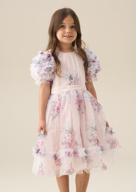 Florence Blush Ruffle Sleeve Mesh Dress