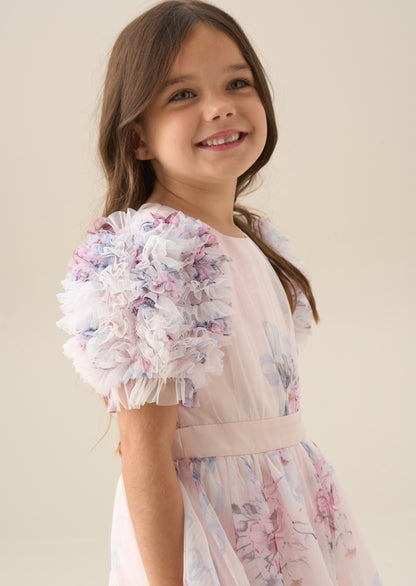 Florence Blush Ruffle Sleeve Mesh Dress
