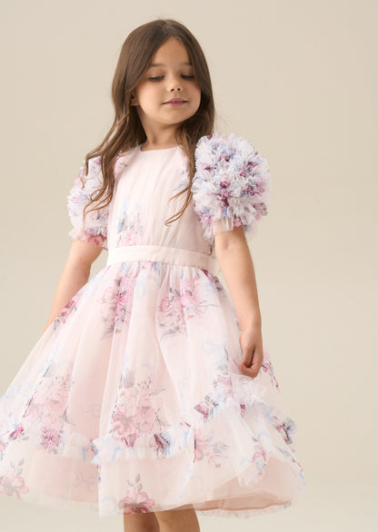 Florence Blush Ruffle Sleeve Mesh Dress