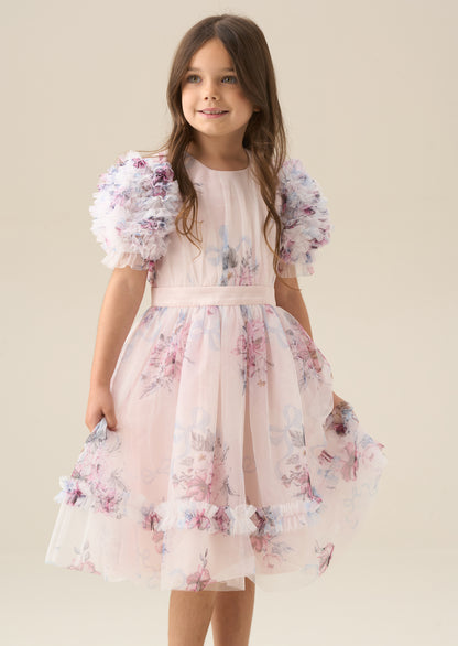 Florence Blush Ruffle Sleeve Mesh Dress
