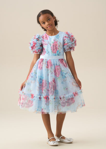 Florence Blue Ruffle Sleeve Mesh Dress