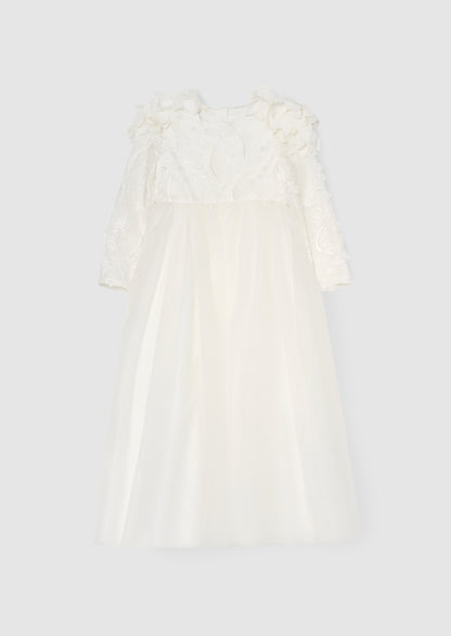 Gabrielle Embellished Mesh Dress