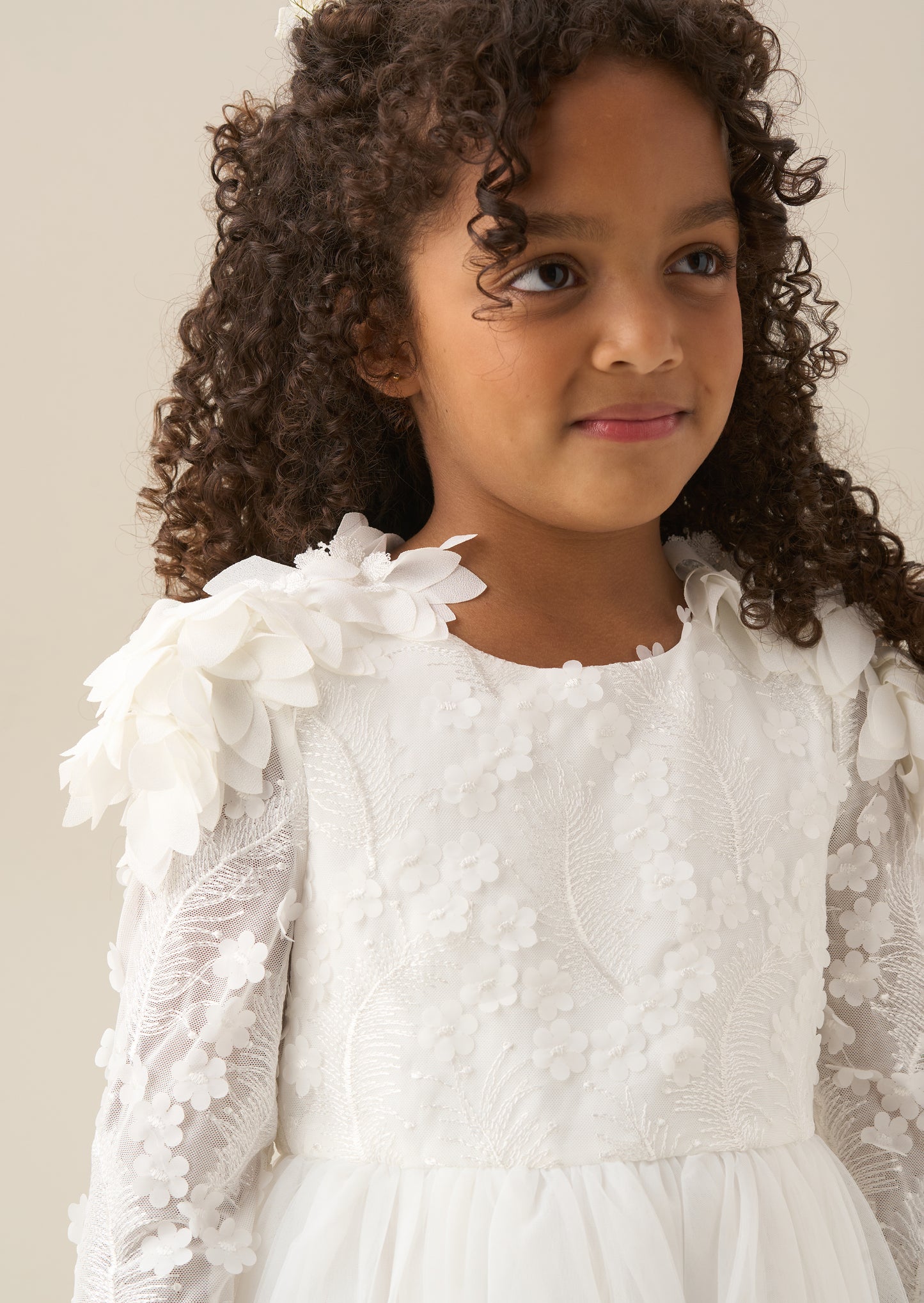 Gabrielle Embellished Mesh Dress