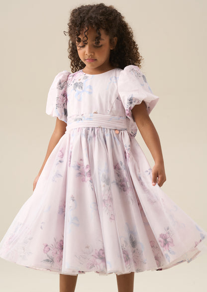 Rose Tulle Overlay Floral Print Dress