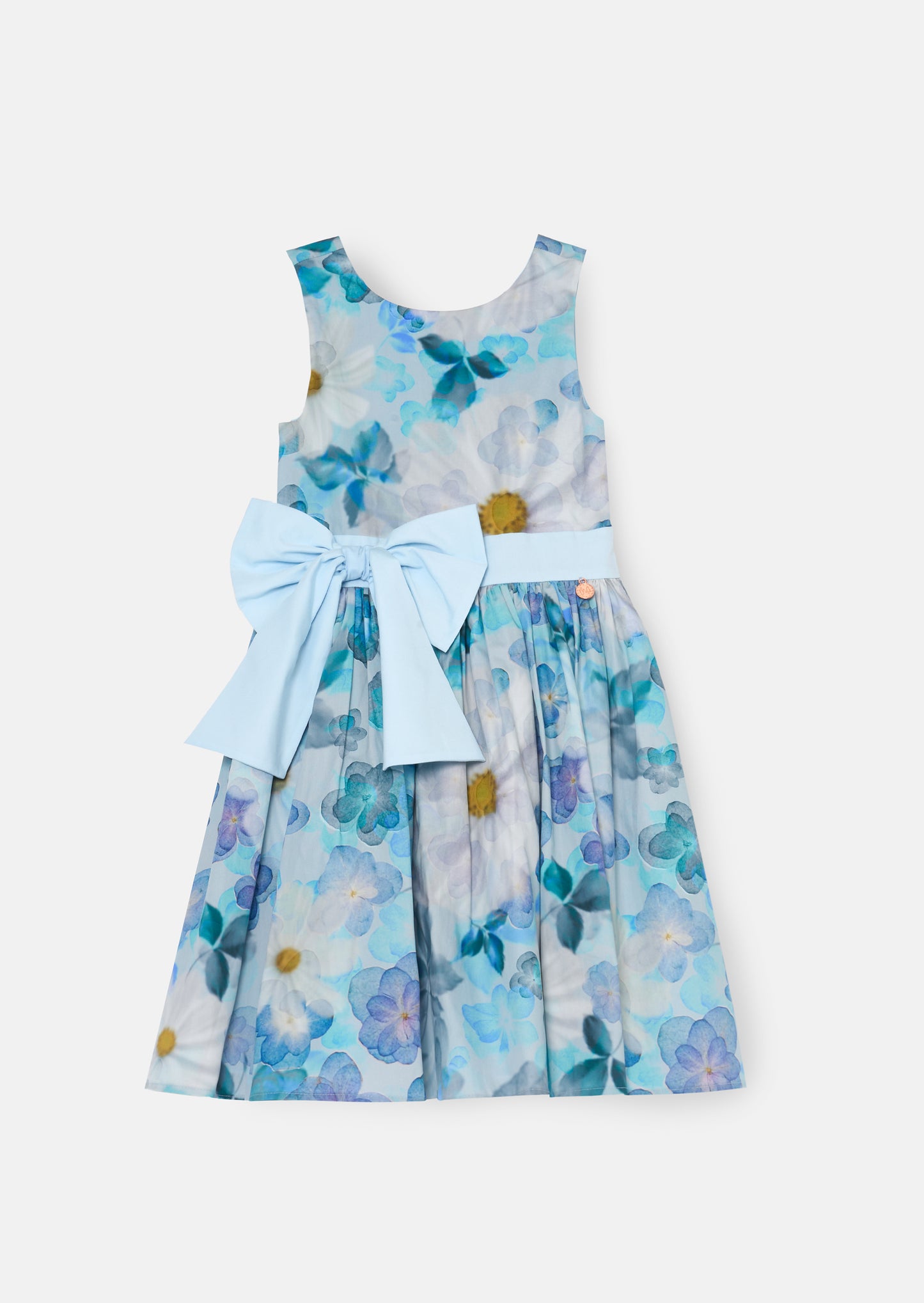 Elsa Print Bow Waist Dress