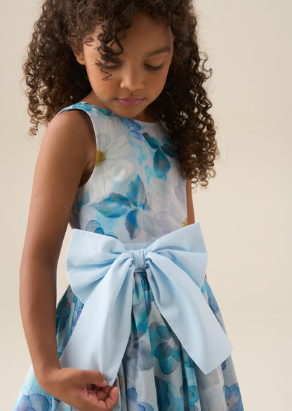 Elsa Print Bow Waist Dress