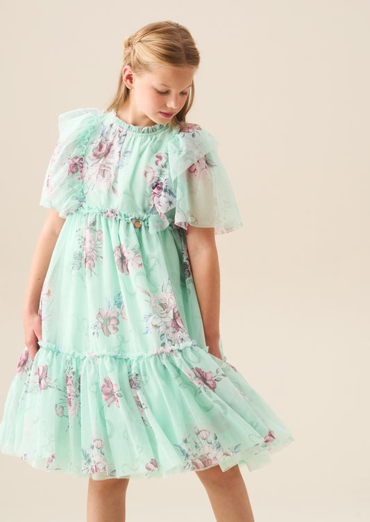 Rosa Mint Floral Mesh Dress