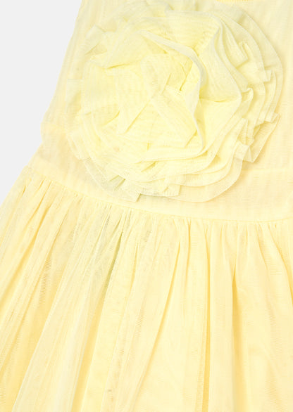 Lily Corsage Mesh Dress