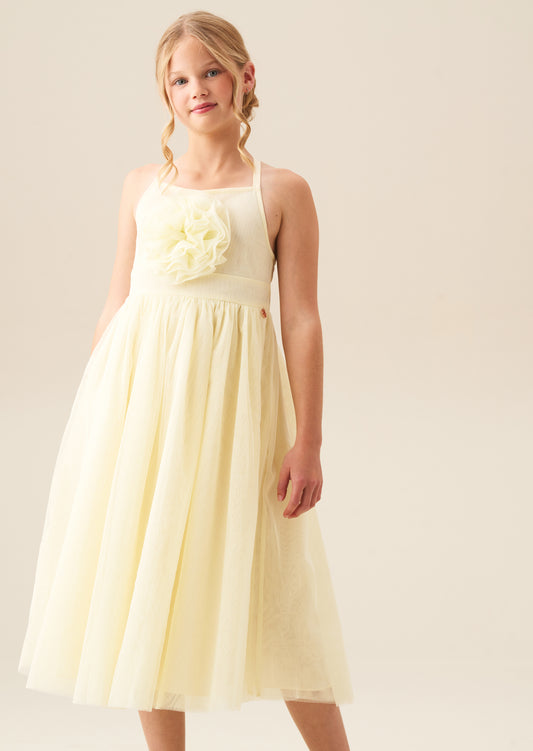 Lily Corsage Mesh Dress