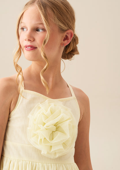 Lily Corsage Mesh Dress