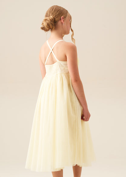 Lily Corsage Mesh Dress