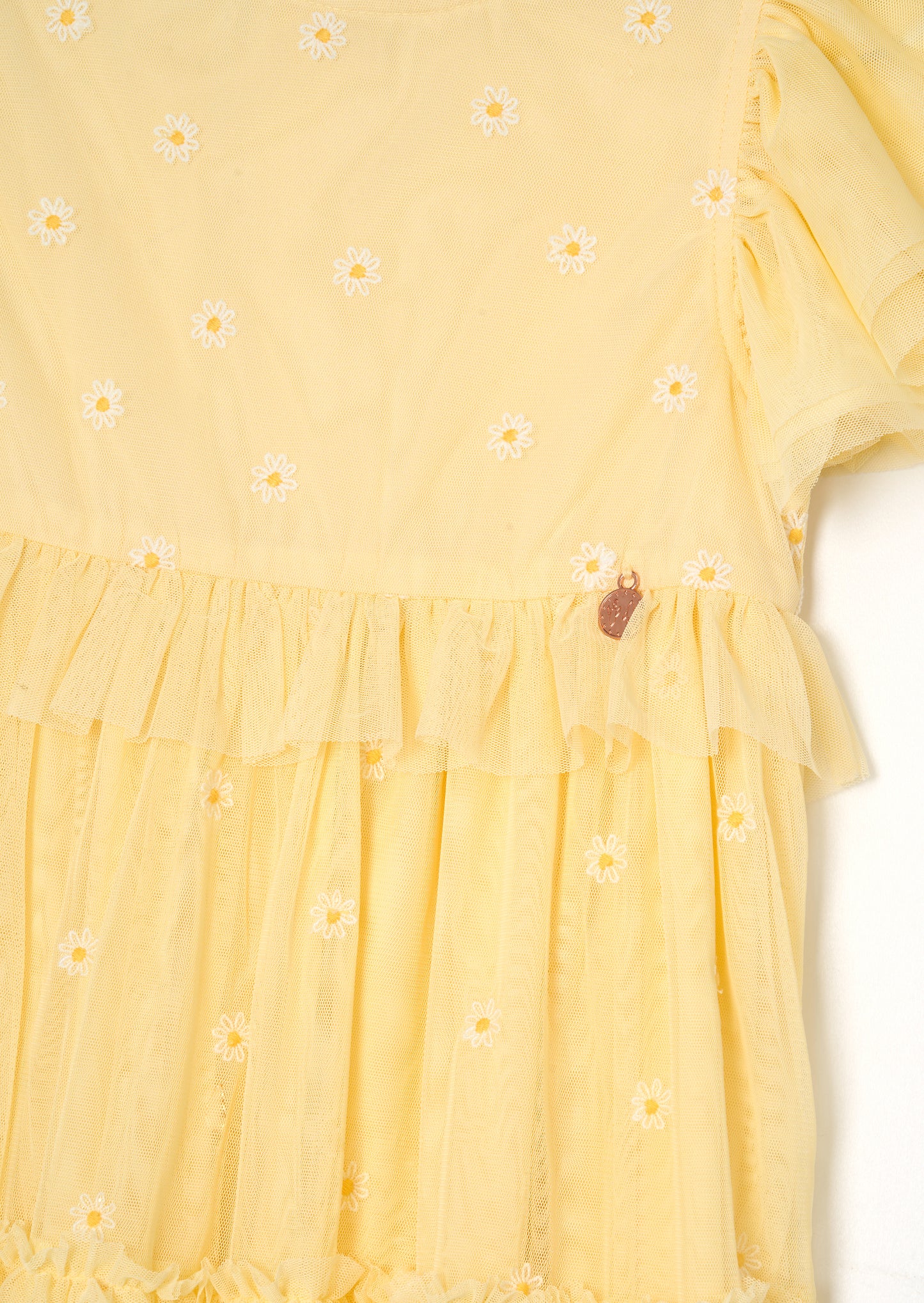 Luisa Yellow Embroidered Mesh Dress