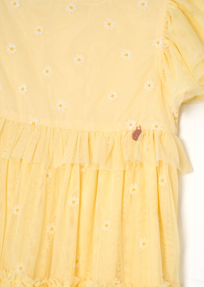 Luisa Yellow Embroidered Mesh Dress