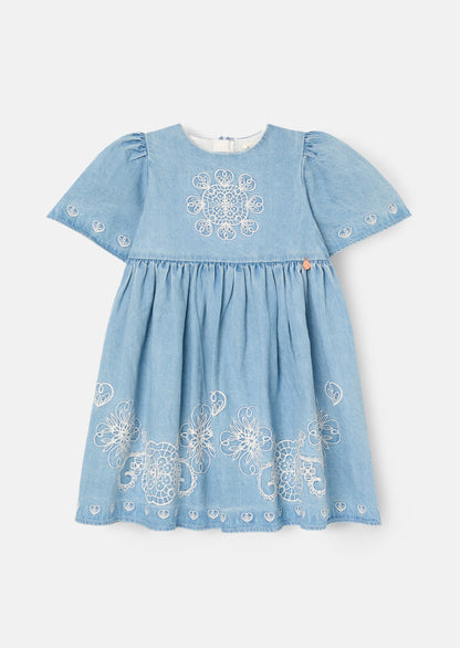 Reyna Denim Embroidered Swing Dress