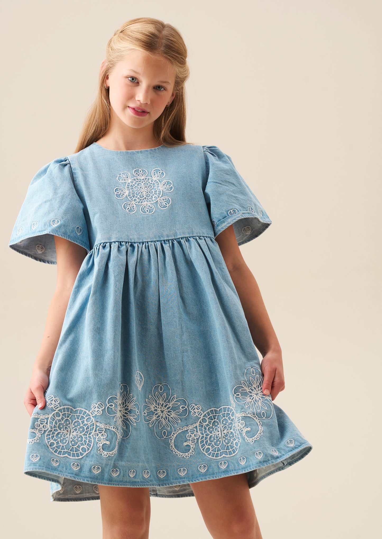 Reyna Denim Embroidered Swing Dress