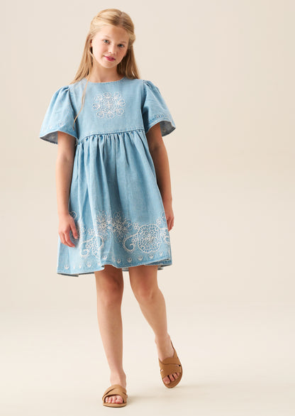 Reyna Denim Embroidered Swing Dress