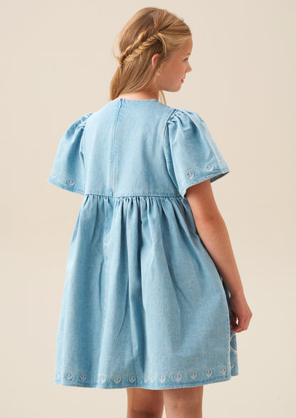 Reyna Denim Embroidered Swing Dress